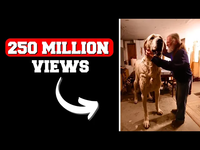 Can I Recreate an AI Video With 250+ Million Views in 20 Minutes?