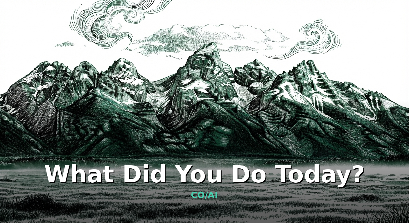 What Did You Do Today?